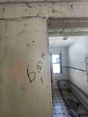 17257 bloom (35).jpg